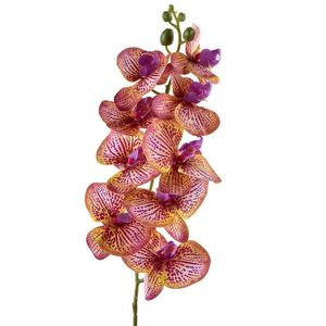 Mondex UMĚLÁ ORCHIDEJ Viridis, 90 cm obraz