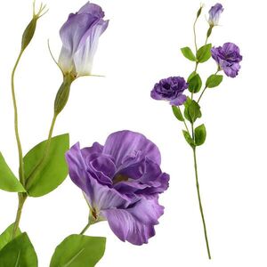 Mondex UMĚLÁ KVĚTINA, Eustoma obraz
