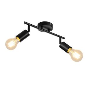 Nettlife STROPNÍ BODOVÉ SVÍTIDLO Laser 2paprskové 30/9/16 cm obraz