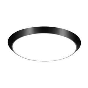 Nettlife LED stropní světlo Frisbee 30 cm obraz