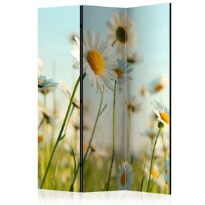 artgeist PARAVÁN, 135/172/3 cm obraz