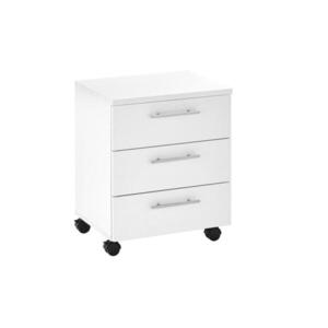 Carryhome POJÍZDNÝ KONTEJNER, 40/56/39 cm obraz