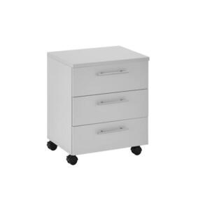 Carryhome POJÍZDNÝ KONTEJNER, 40/56/39 cm obraz