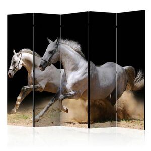 artgeist PARAVÁN, 225/172/3 cm obraz
