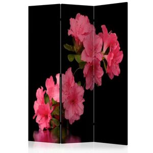 artgeist PARAVÁN, 135/172/3 cm obraz