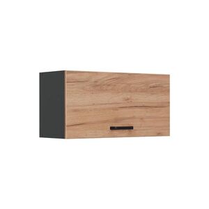 Vicco VĚŠÁK NA STĚNU R-Line, Zlatý mocný dub/Antracit, 80 cm Plochý obraz