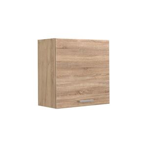 Vicco VĚŠÁK NA STĚNU R-Line, Sonoma/Zlatý mocný dub, 60 cm s 1 dvířky obraz