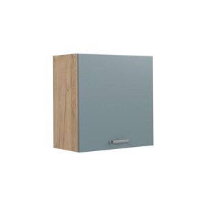 Vicco VĚŠÁK NA STĚNU R-Line, Modrošedá/Zlatý mocný dub, 60 cm s 1 dvířky obraz