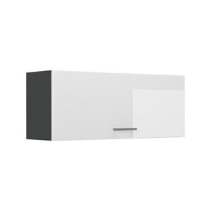 Vicco VĚŠÁK NA STĚNU R-Line, Bílá vysoký lesk/Antracit, 100 cm Plochý obraz