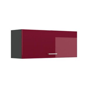 Vicco VĚŠÁK NA STĚNU R-Line, Červená vysoký lesk/Antracit, 100 cm Plochý obraz