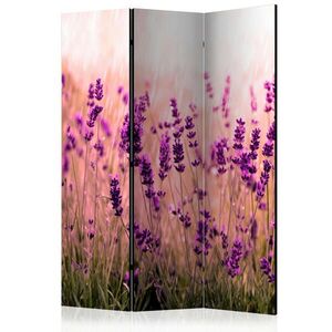 artgeist PARAVÁN, 135/172/3 cm obraz