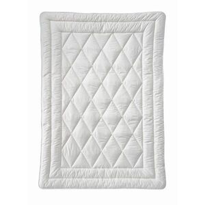 Billerbeck CELOROČNÍ PŘIKRÝVKA, 155/220 cm, bavlněná výplň obraz