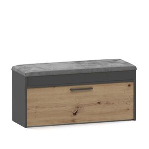 RAUMHIRSCH FURNITURE SKŘÍŇ NA BOTY antracitová, Artisan 100/49/35 obraz