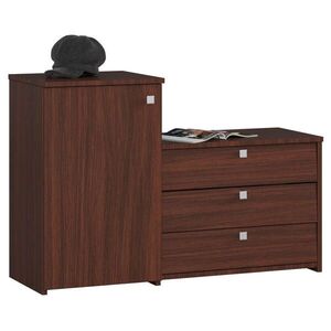 RAUMHIRSCH FURNITURE SKŘÍŇ NA BOTY Tmavě hnědá 68/98, 4/33 obraz
