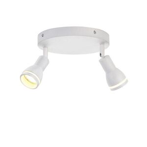 Nettlife STROPNÍ BODOVÉ SVÍTIDLO Hertz 2žárovkové 20/20/16 cm obraz