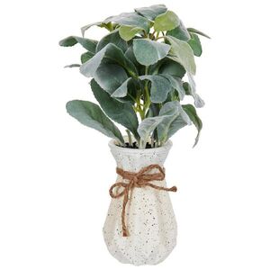 Beliani UMĚLÁ Pokojová rostlina 30 cm Zelená/Černá Peperomia Argyreia obraz