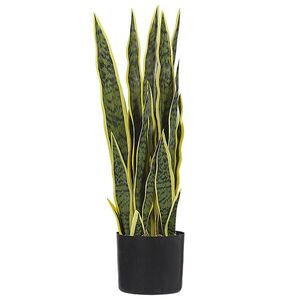 Beliani UMĚLÁ ROSTLINA Zelená Snake Plant obraz