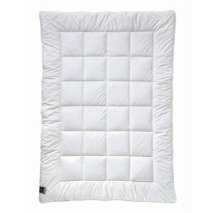 Billerbeck ZIMNÍ PŘIKRÝVKA, 155/220 cm, polyester obraz