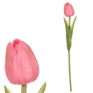 TULIPÁN 35 cm obraz