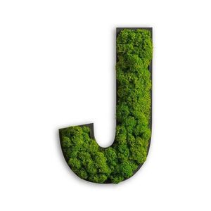 StyleGREEN MECHOVÝ OBRAZ obraz