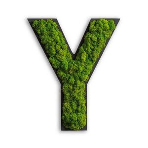 StyleGREEN MECHOVÝ OBRAZ obraz