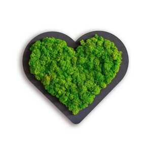 StyleGREEN MECHOVÝ OBRAZ obraz