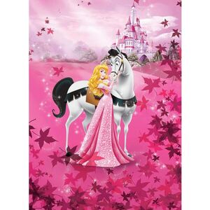 Disney FOTOTAPETA velikost: 184/254 cm obraz