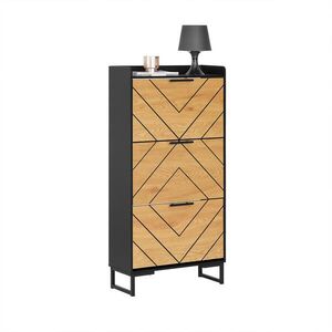 SoBuy BOTNÍK se třemi dveřmi 62x59x125cm Moderní obraz