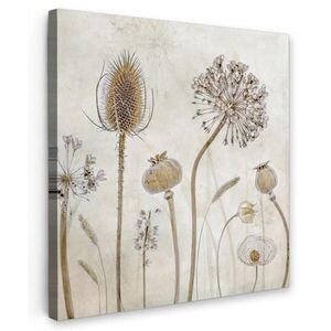 MuchoWow OBRAZ NA PLÁTNĚ Květiny - Akvarel - Zátiší - Hnědá - Vintage 20x20 cm obraz