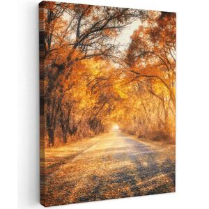 MuchoWow OBRAZ NA PLÁTNĚ Les - Podzim - Stromy - Lesní cesta - Příroda 60x80 cm obraz