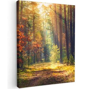MuchoWow OBRAZ NA PLÁTNĚ Les - podzim - stromy 30x40 cm obraz