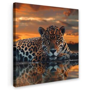MuchoWow OBRAZ NA PLÁTNĚ Příroda - Leopard - Zvíře - Západ slunce - Moderní 50x50 cm obraz