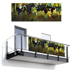 MuchoWow BALKONOVÁ ZÁSTĚNA Hrozny - Víno - Příroda - Zelená 300x110 cm obraz