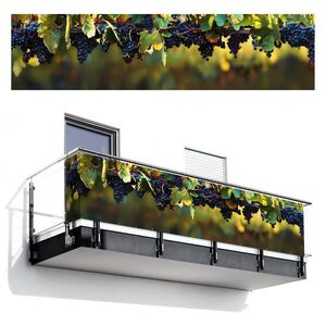 MuchoWow BALKONOVÁ ZÁSTĚNA Hrozny - Víno - Příroda - Zelená 500x120 cm obraz