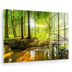 MuchoWow OBRAZ NA AKRYLOVÉM SKLE Les - Krajina - Voda - Stromy - Slunce - Zeleň - Příroda 90x60 cm obraz