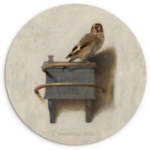 MuchoWow NÁSTĚNNÝ OBRAZ Zlatohlávek - Starý mistr - Carel Fabritius 60x60 cm obraz