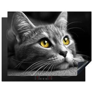 MuchoWow KRYT NA INDUKČNÍ DESKU Kočka - Grey - Zvířata - Cat 77x59 cm obraz