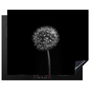MuchoWow KRYT NA INDUKČNÍ DESKU Pampeliška - černá - květinová - botanická 65x52 cm obraz