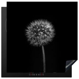 MuchoWow KRYT NA INDUKČNÍ DESKU Pampeliška - černá - květinová - botanická 78x78 cm obraz