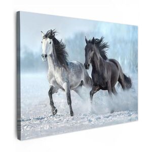 MuchoWow OBRAZ NA PLÁTNĚ Koně - Zima - Zvířata - Příroda - Sníh 80x60 cm obraz