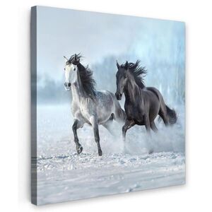 MuchoWow OBRAZ NA PLÁTNĚ Koně - Zima - Zvířata - Příroda - Sníh 50x50 cm obraz