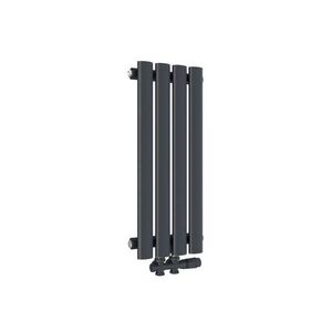 EMKE RADIÁTOR Dvojitá Trubka Vertikálně Montovatelný Antracit 24/60/5, 8 cm obraz