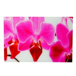 MCW SKLENĚNÝ OBRAZ ORCHIDEJ Multicolor obraz