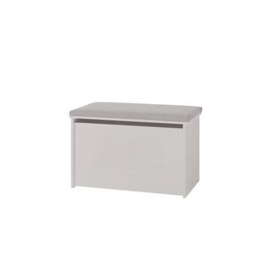 RAUMHIRSCH FURNITURE TRUHLA NA HRAČKY Daria obraz