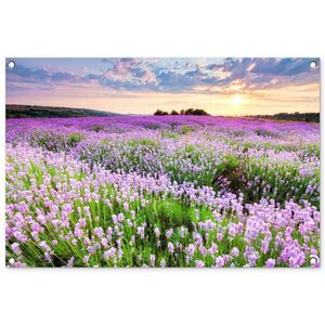 OnlyWow ZAHRADNÍ PLAKÁT Květiny - Levandule - Fialová - Obloha - Západ slunce - Louka - Příroda 90x60 cm obraz