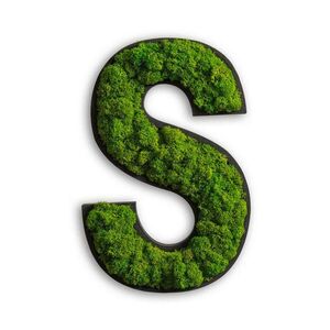 StyleGREEN MECHOVÝ OBRAZ obraz