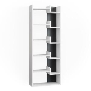 Vicco ROZDĚLOVACÍ STĚNA Fico Antracit 61 x 160.2 cm obraz