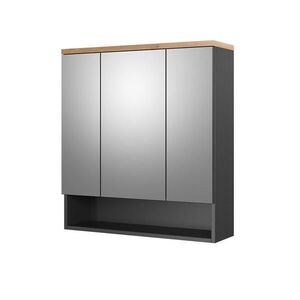 Vicco KOUPELNOVÁ ZRCADLOVÁ SKŘÍŇKA Eden Antracit 70 x 77.5 cm obraz