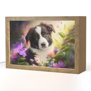 OnlyWow NOČNÍ LAMPIČKA Štěně - Slunce - Květiny - Příroda - Border kolie - Pes 30x20 cm obraz