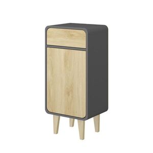 Vicco MIDI SKŘÍŇKA Arla Antracit/dub 40 x 81 cm obraz